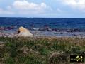 Findling Siebenschneiderstein und weitere Geschiebe an der Küste bei Kap Arkona, Insel Rügen, Mecklenburg-Vorpommern, (D) (14) 01.07.15.JPG